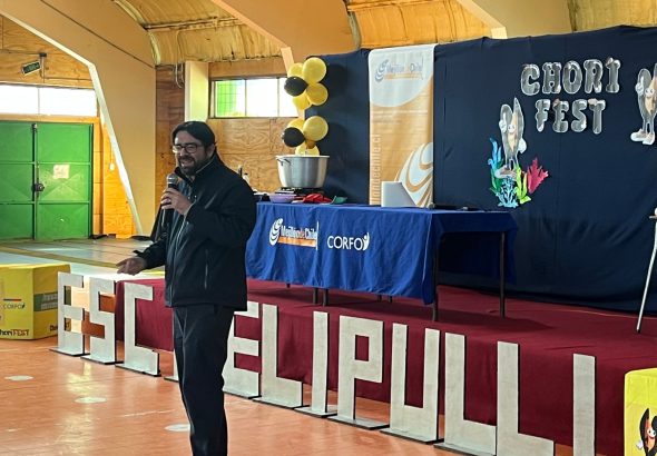 Director Regional Corfo