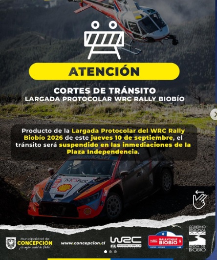 Sin título